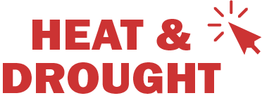 Heat & Drought