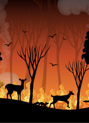 Wildfire in a forest with deer